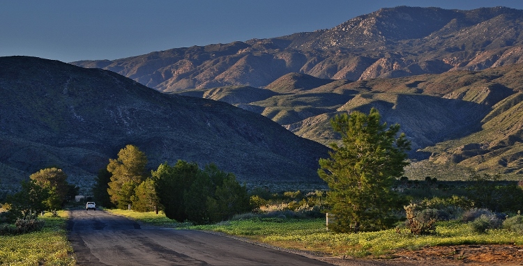 facing the hills